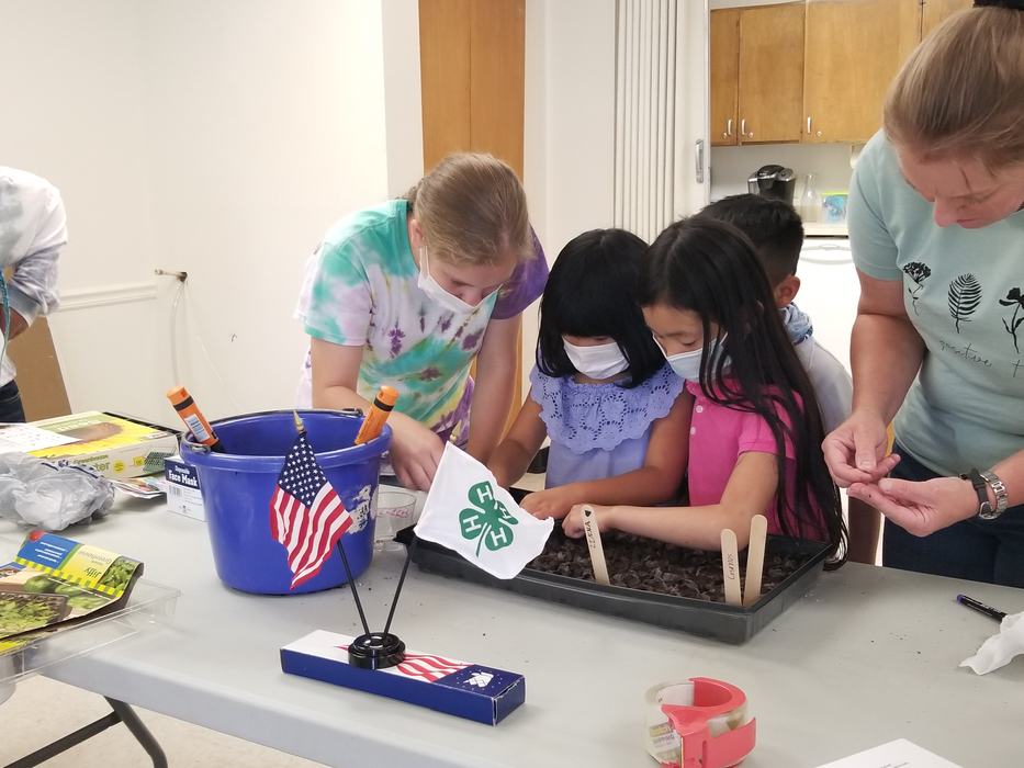 Scotland4HGardenClub