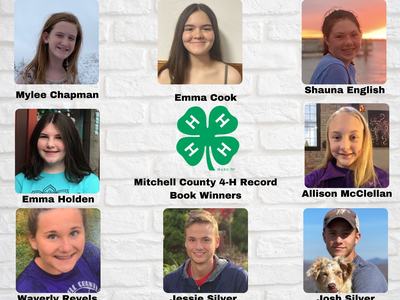 Project Record Winners Collage