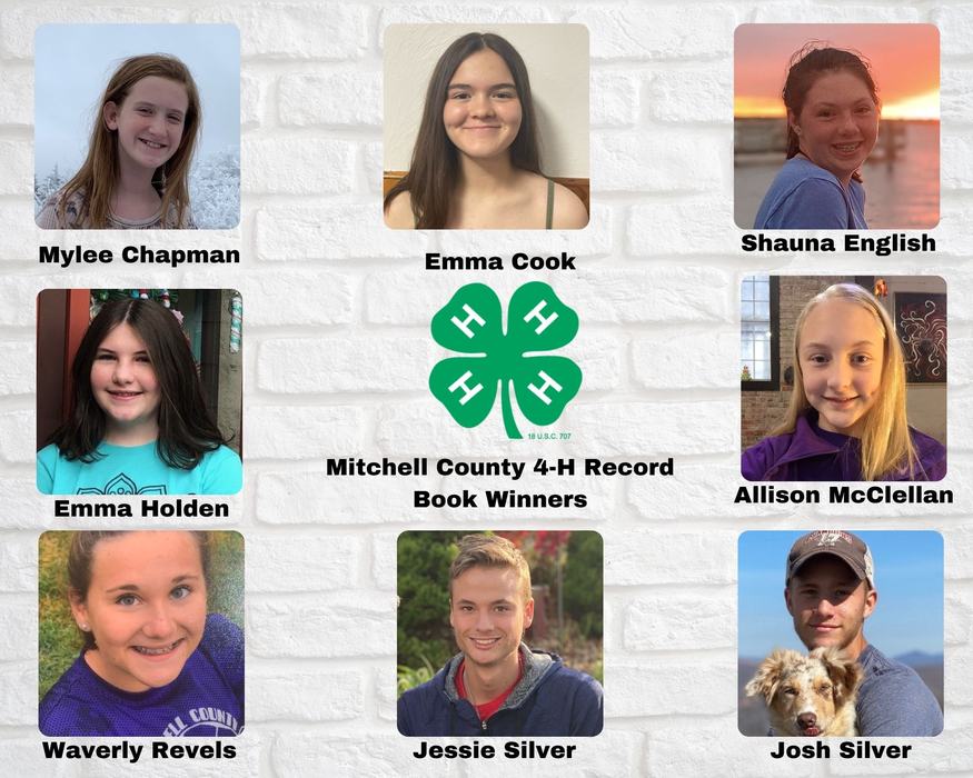 Project Record Winners Collage