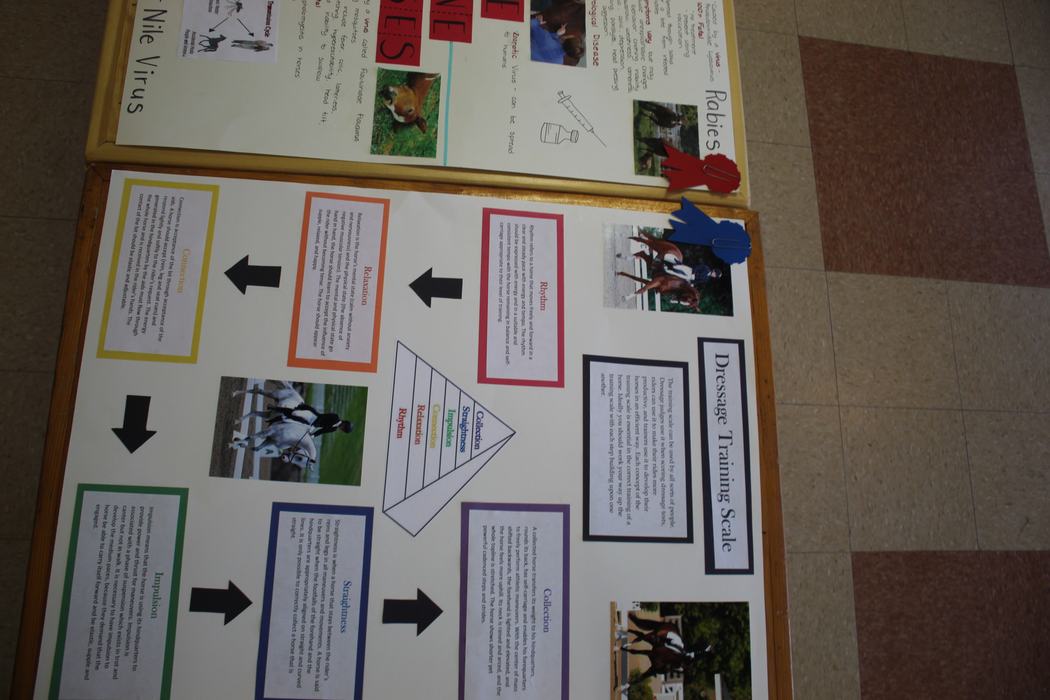 Photo of a poster project