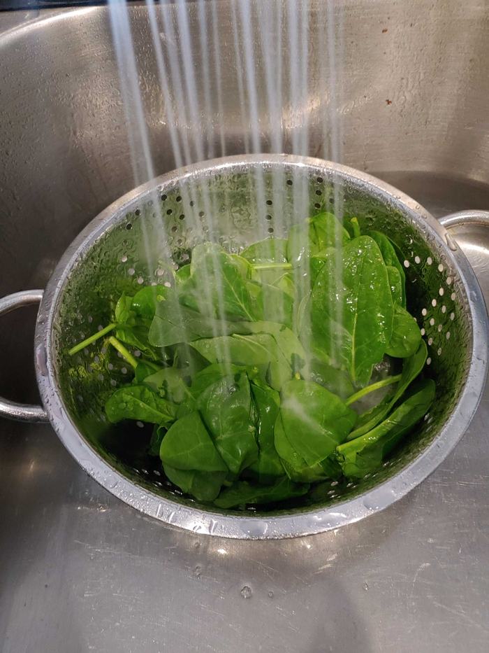 Spinach in colander in sink under running water.