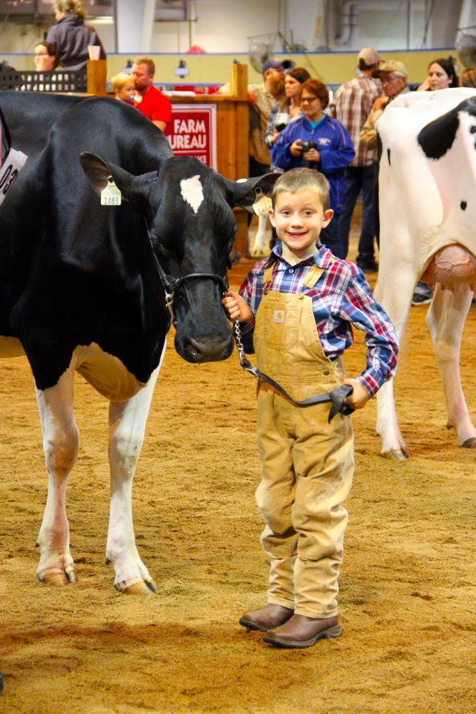 Boy with cow