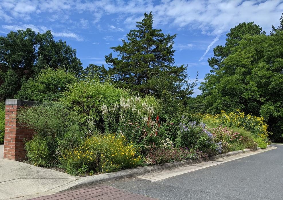 Pollinator garden trellis bed