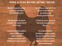chicken psot