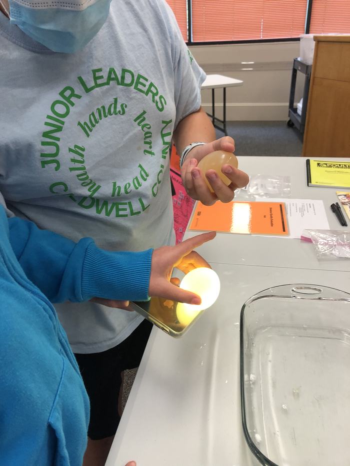 Two 4-H members take a closer look at eggs without their shells after learning about the anatomy of an egg.