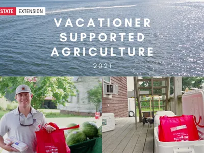 photo collage of vsa bags, farmers, and water.