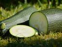 Three green zucchinis on grass, one cut to show pale interior