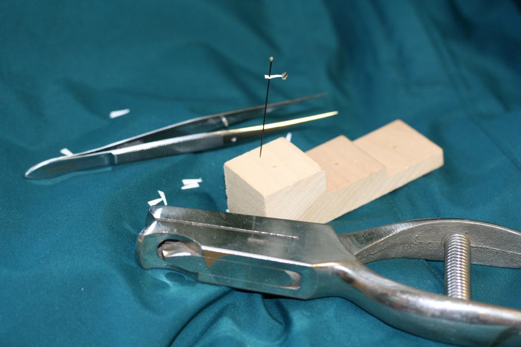 Image of an insect pinning tool called a triangle punch