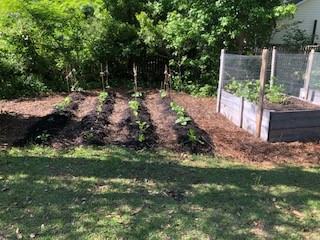 Garden bed with mulch