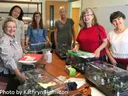 Master Gardener volunteers display their newly grafted tomato plants