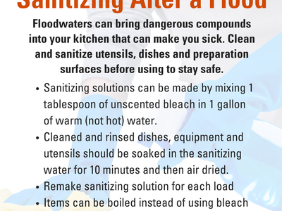 Sanitizing after a flood flyer