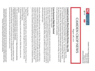 Newsletter titled "CAMDEN CROP NEWS" (August 4, 2021) with NC Cooperative Extension logo