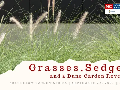 arboretum series
