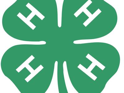 4-H Clover