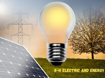 4-H Electricity Series