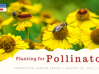 planting for pollinators