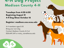 Dog Project Flyer