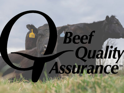 Logo with picture of Cows behind