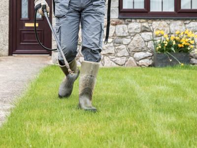 Person in rubber boots and work pants walking on lawn holding a garden sprayer wand