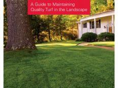 Carolina Lawns: Maintaining Quality Turf over photo of green lawn, large tree, and house