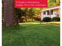 Carolina Lawns: Maintaining Quality Turf over photo of green lawn, large tree, and house