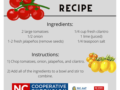 simple salsa recipe