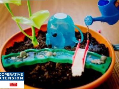 Miniature potted plant with toy blue elephant and watering can; label reads "NC Cooperative Extension"