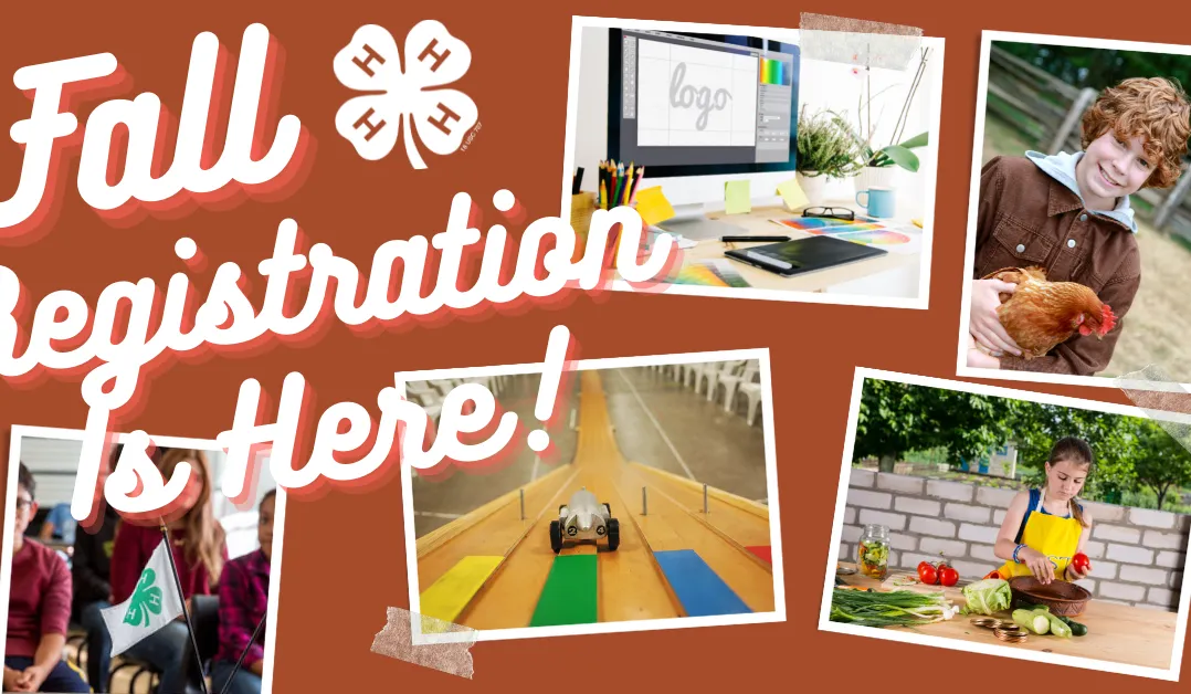 Fall Restraction Fall 2021 4-H Registration Is Now Open - Polk County Center | N.C ...