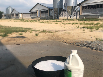 Biosecurity on the Farm