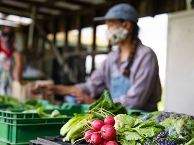 A farmers market in operation during Covid-19. Farmers behind their produce tables at a farmers market.