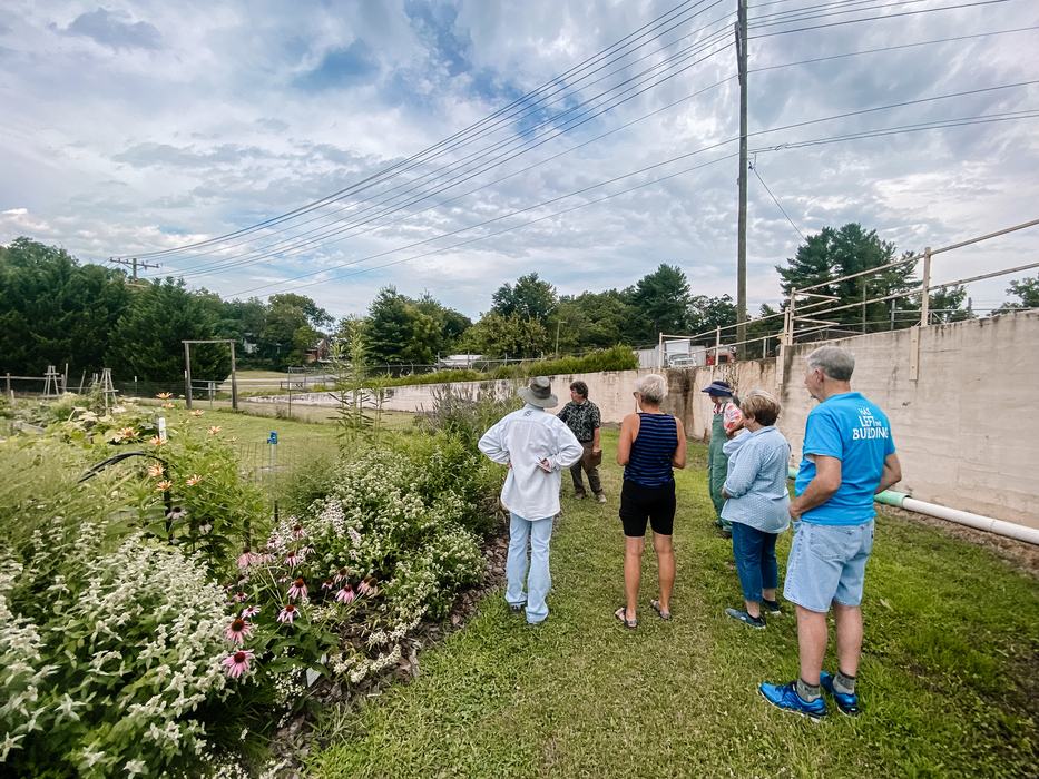 people in a garden