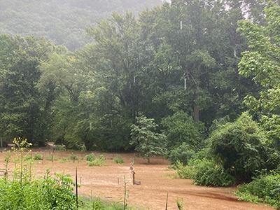 Flooded agricultural field