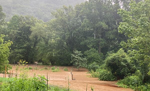 Flooded agricultural field
