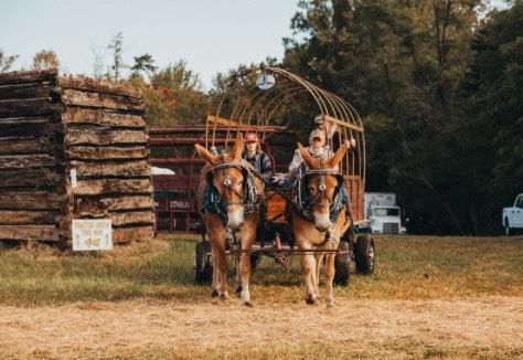 Two people on a horse-drawn cart