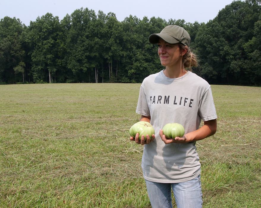 Person holding tomatoes