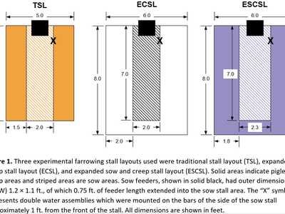 experimental farrowing crate designs