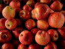 Pile of red apples with some yellowish patches
