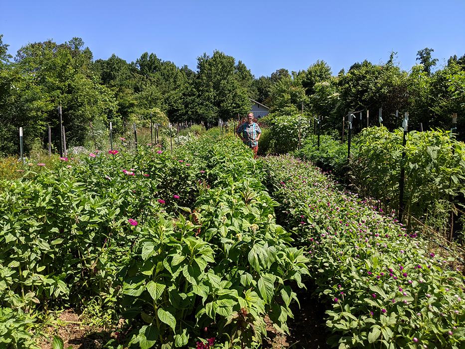 Person in flower field