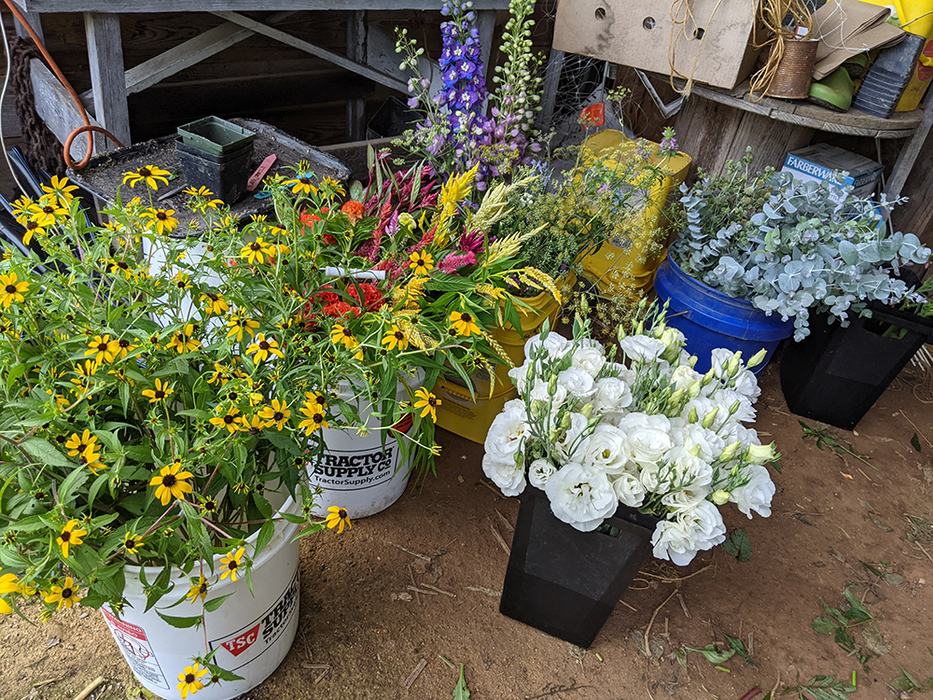 Flowers in buckets