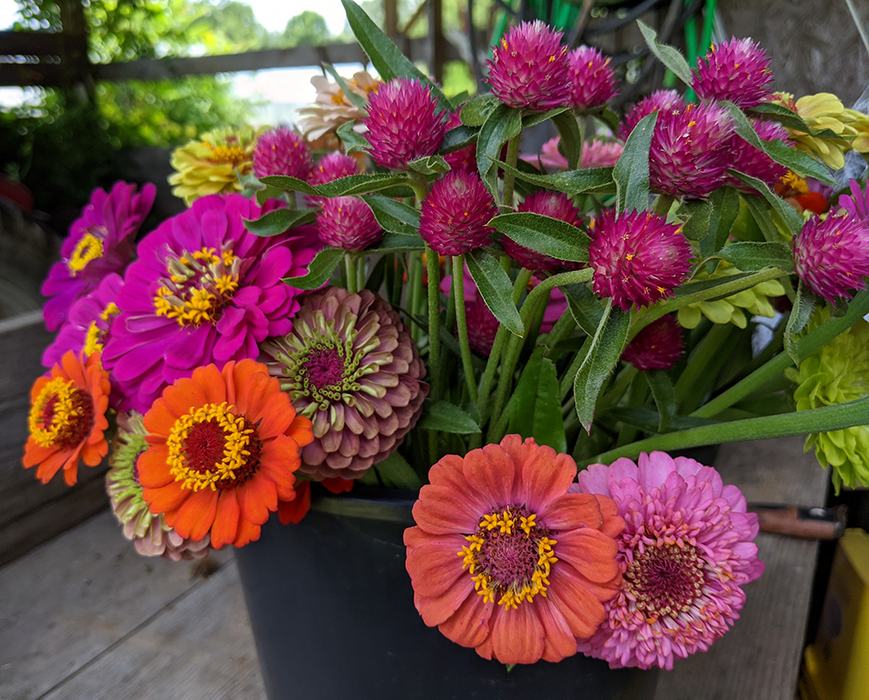 Flowers in a bucket