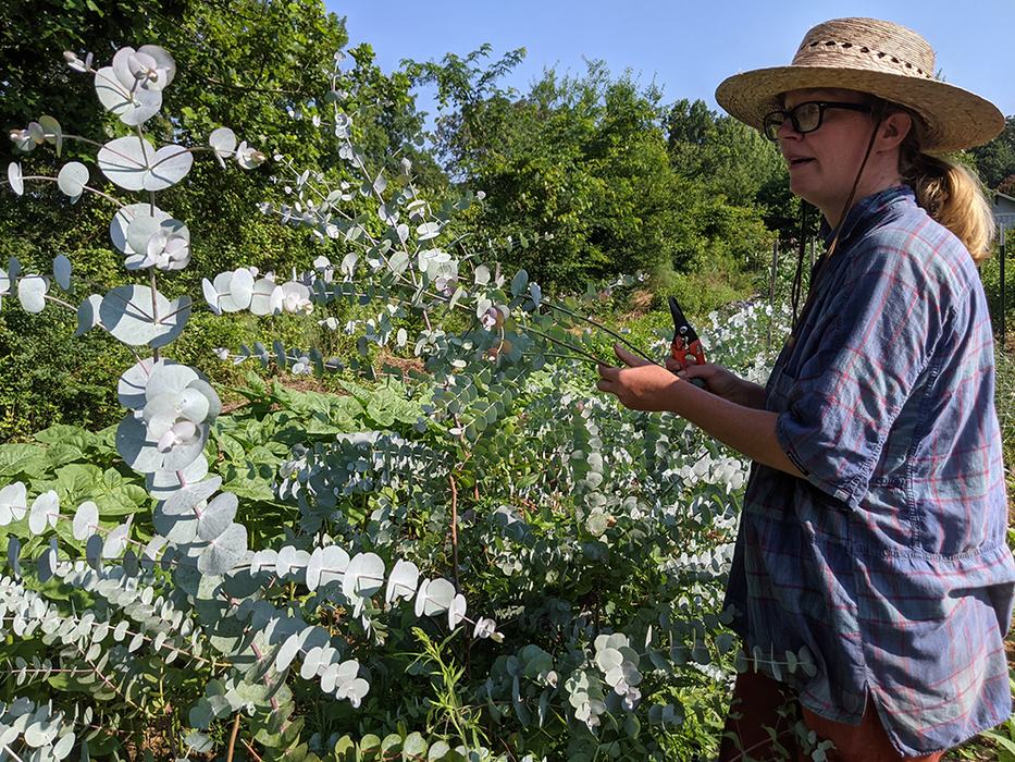 Woman looking at flowers