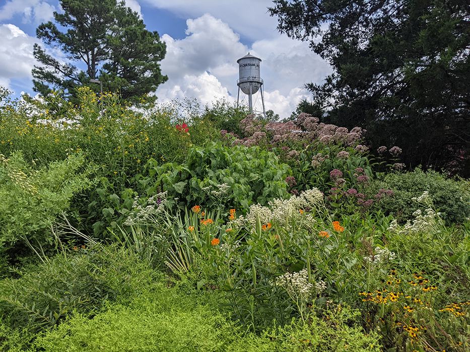 Water tower behind garden