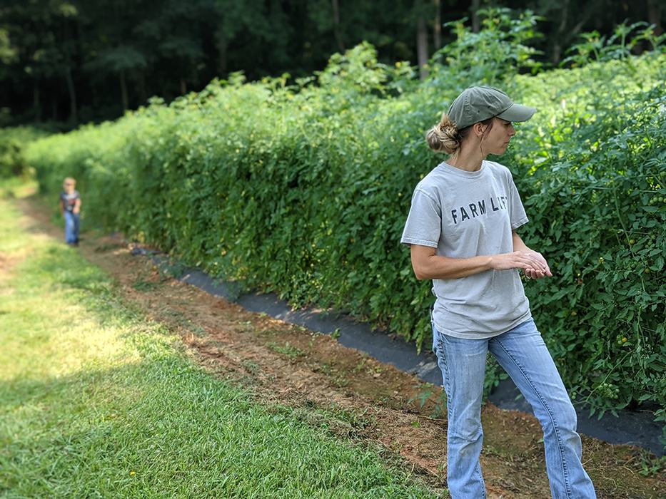 2 people looking at crops