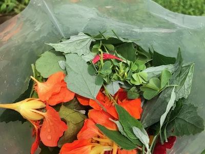 Bouquet of orange nasturtium flowers and assorted green leaves inside a clear plastic bag
