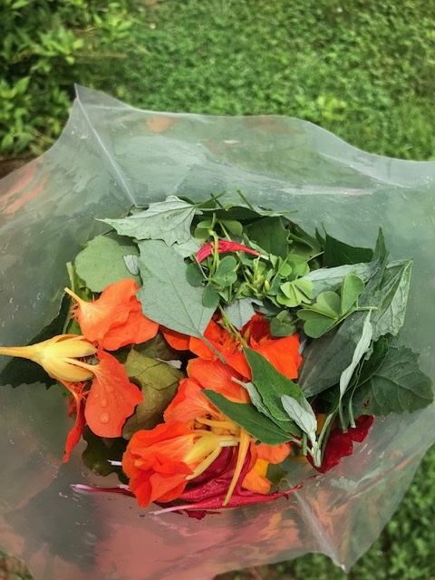 Salad mix in a bag