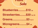 Fall plant sale flyer with plant prices