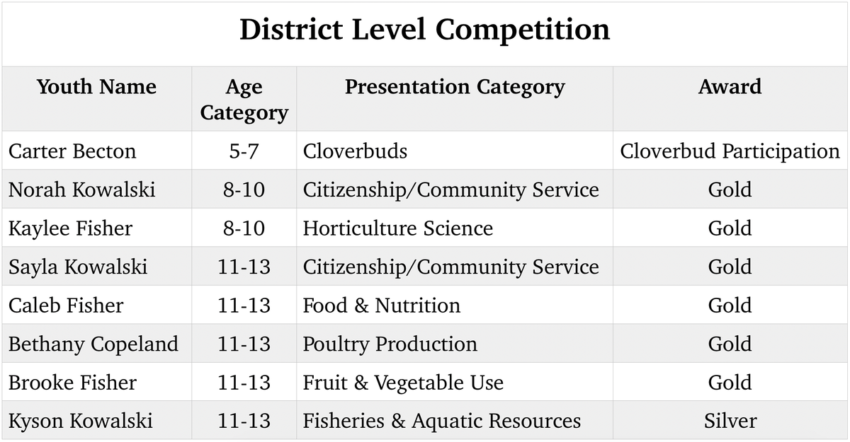 District Presentation Winners