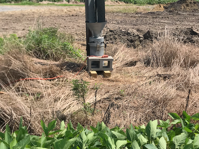 Perquimans Blacklight Trap