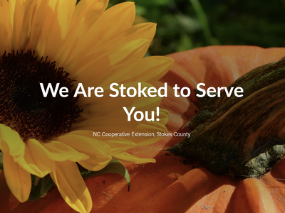 Sunflower and pumpkin with overlaid text: "We Are Stoked to Serve You!"