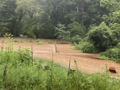 A flooded low lying field.